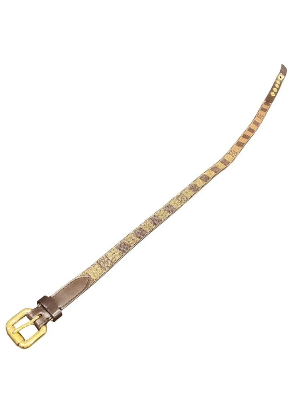 Louis Vuitton brand louis